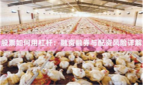 股票如何用杠杆：融资融券与配资风险详解